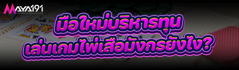 มือใหม่บริหารทุนเล่น เกมไพ่เสือมังกร ยังไง?