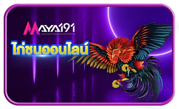 ไก่ชน